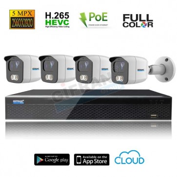 kit videosorveglianza POE 5MPX grandangolo