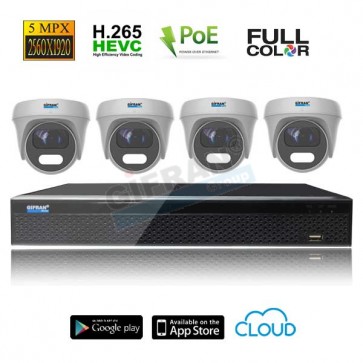 Videosorveglianza POE 4 telecamere 5MPX