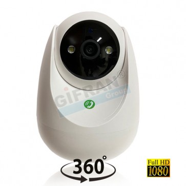 Telecamera PTZ motorizzata EZVIZ wireless